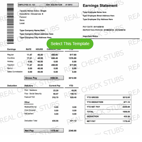 Full page pay stub template